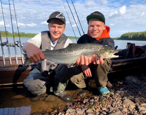 salmon-fishing-finland